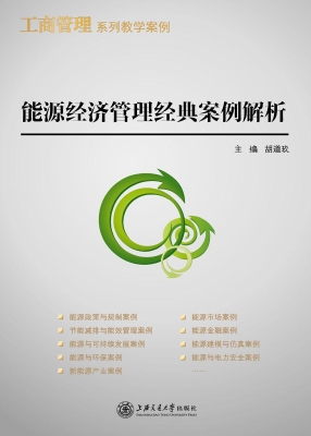 能源经济管理经典案例