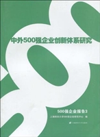 500强企业报告 3——