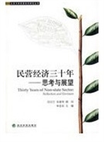 民营经济三十年