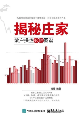 揭秘庄家——散户操盘