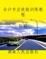 会计专业技能训练教程