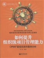如何提升组织级项目管