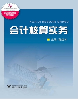会计核算实务