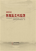 滇中文化论——楚雄盐