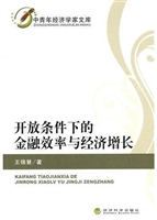 开放条件下的金融效率