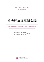 重庆经济改革新实践（20