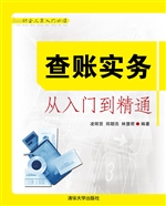 查账实务从入门到精通