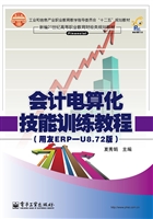 会计电算化技能训练教