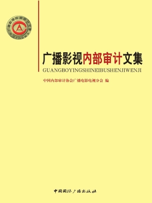 广播影视内部审计文集