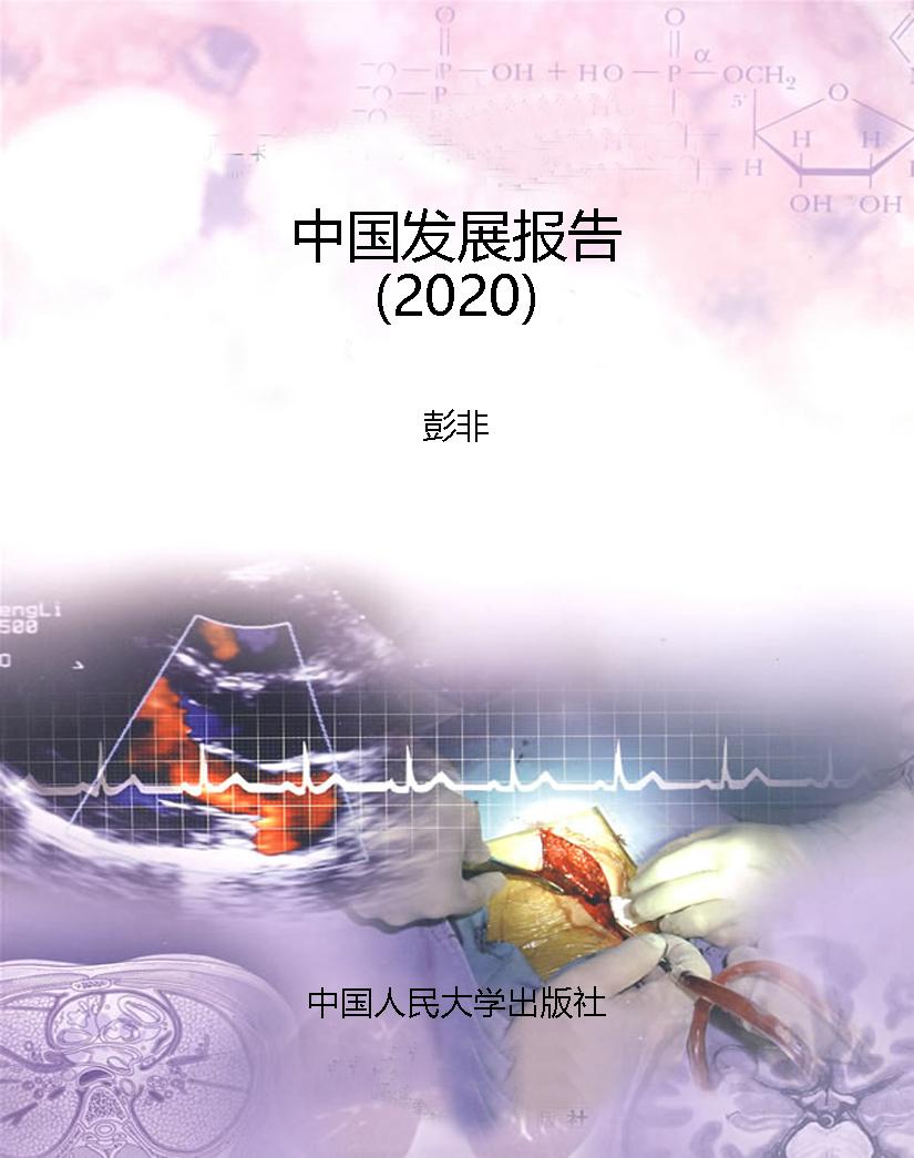 中国发展报告（2020）