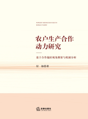 农户生产合作动力研究