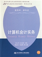 计算机会计实务