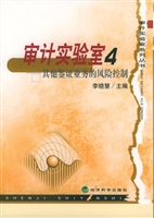 审计实验室  4  其他
