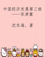 中国经济发展第三极—