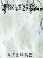 中国税收征管信息系统