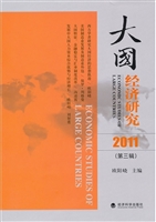 大国经济研究（2011年）第