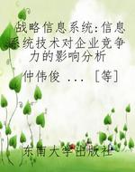 战略信息系统:信息系
