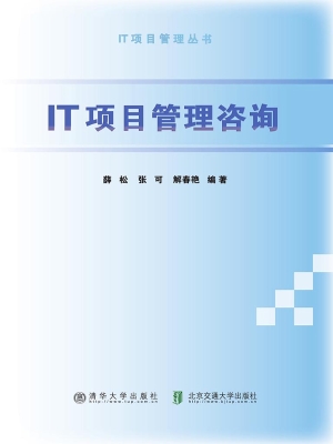 IT项目管理咨询