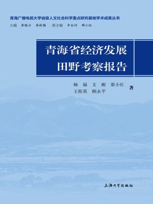 青海省经济发展田野考