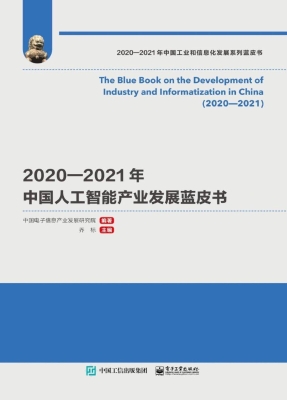 2020—2021年中国人工