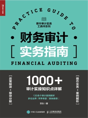 财务审计实务指南
