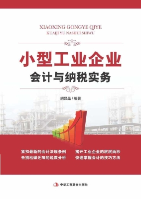 小型工业企业会计与纳