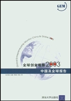 全球创业观察2003中国