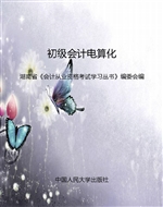 初级会计电算化