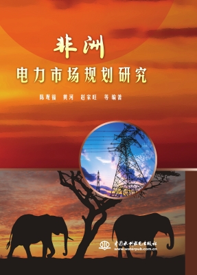 非洲电力市场规划研究