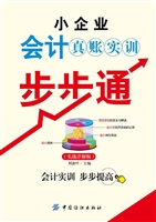 小企业会计真账实训步