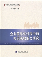 企业信息化过程中的知