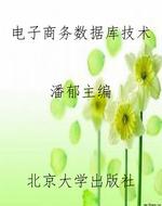 电子商务数据库技术