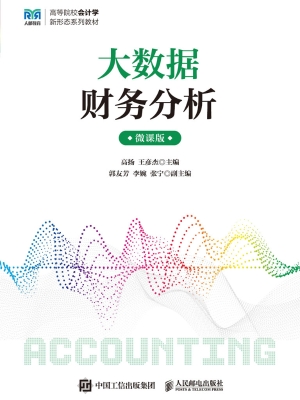 大数据财务分析（微课版