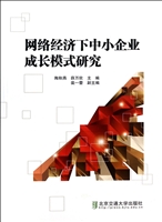 网络经济下中小企业成