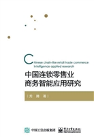 中国连锁零售业商务智