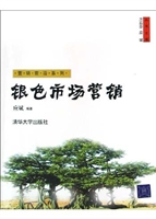 银色市场营销