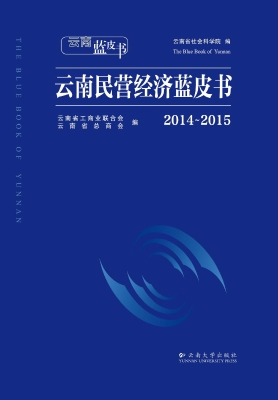 云南民营经济蓝皮书（20