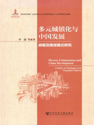 多元城镇化与中国发展