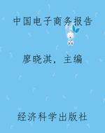 中国电子商务报告