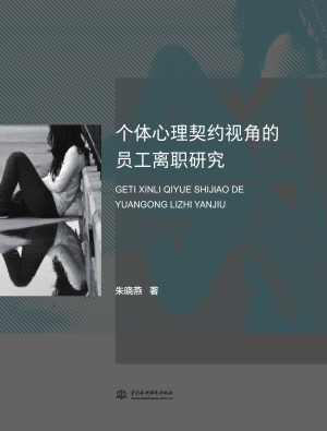 个体心理契约视角的员