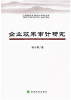 企业效率审计研究