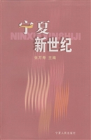 宁夏新世纪