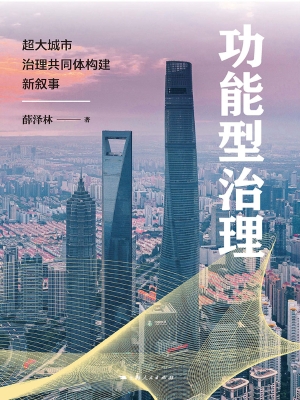 功能型治理——超大城