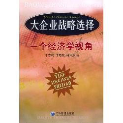 大企业战略选择：一个经