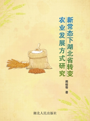 新常态下湖北省转变农