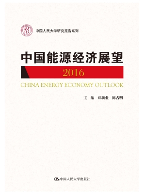 中国能源经济展望 201