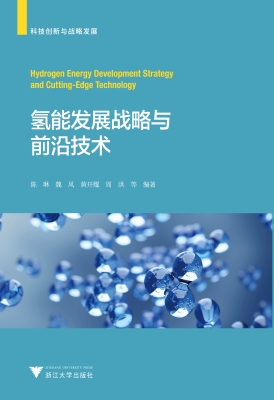 氢能发展战略与前沿技