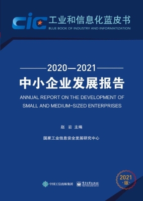 中小企业发展报告（2020