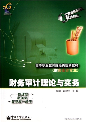 财务审计理论与实务