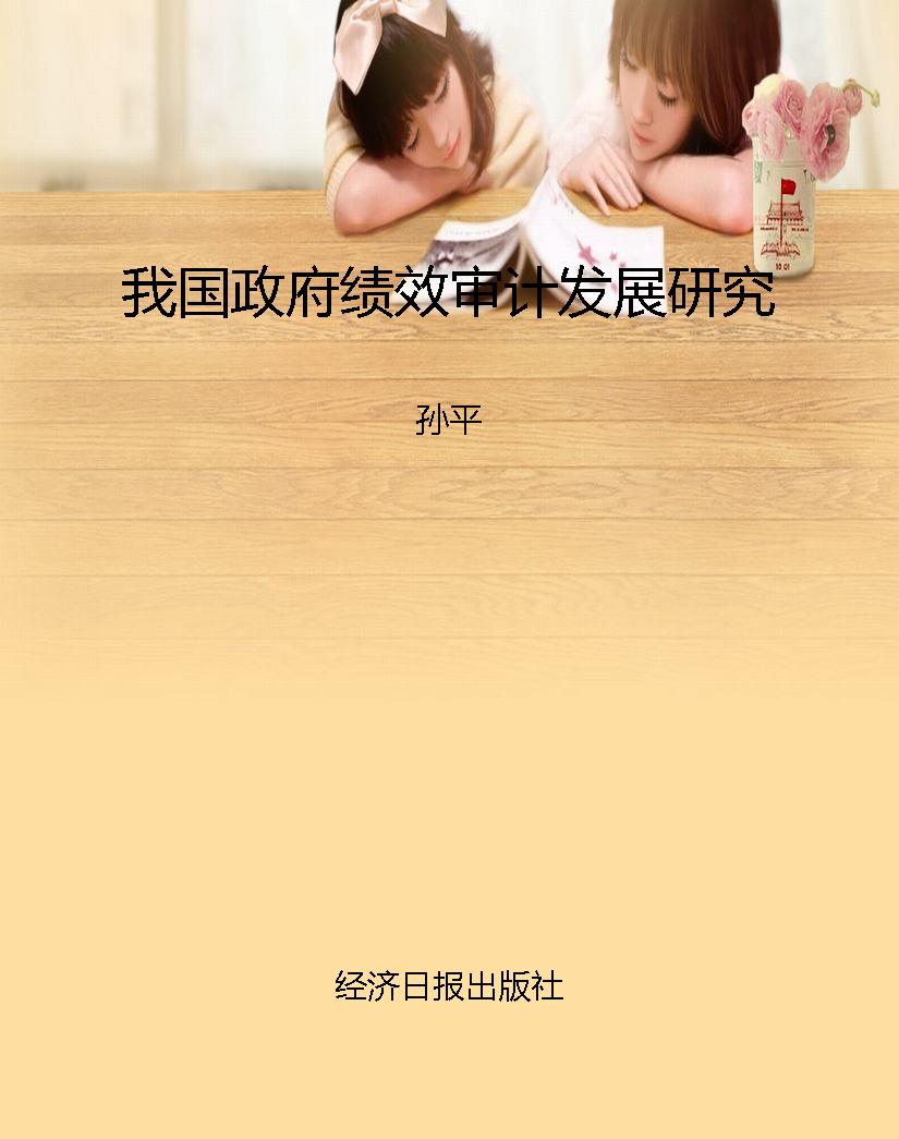 我国政府绩效审计发展